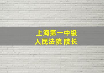 上海第一中级人民法院 院长